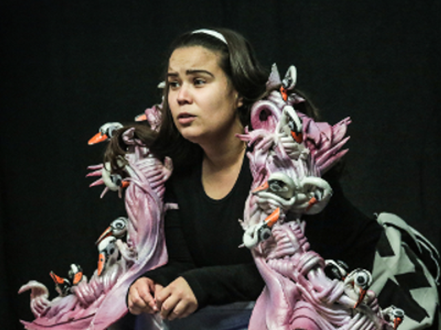 Lago dos Cisnes - Teatro Infantil